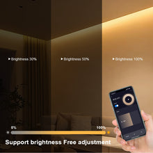 Cargue la imagen en el visor de la galería, Neon 24V LED Strip with Tuya Smart WiFi APP, Voice Control
