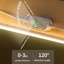 Cargue la imagen en el visor de la galería, DC5V LED Neon Strip With Motion Sensor
