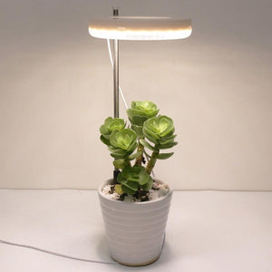 LED Grow Phyto Lamp For Plants With Spike 9 Levels Dimming 3 Levels Timing - www.novixan.com