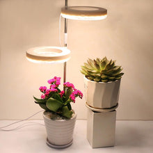 Cargue la imagen en el visor de la galería, LED Grow Phyto Lamp For Plants With Spike 9 Levels Dimming 3 Levels Timing - www.novixan.com
